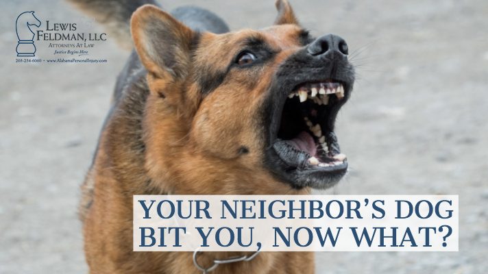 Your Neighbor’s Dog Bit You, Now What?